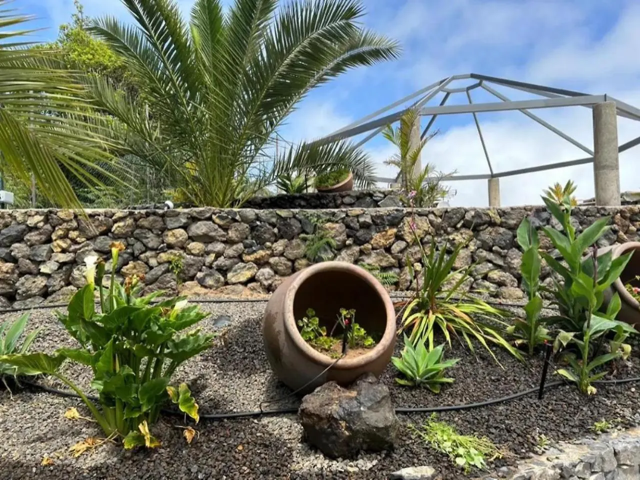 Apartment Tenerife Ecolife Houses By Apartamentos Estrella Del Norte Garachico  Spain